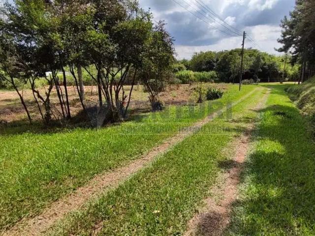 Terreno / Lote para Venda em São José dos Pinhais/PR Cachoeira