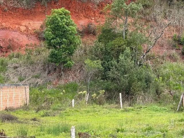 Terreno / Lote para Venda em São José dos Pinhais/PR Cachoeira