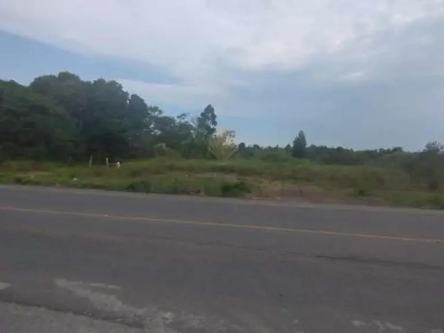 Terreno / Lote para Venda em São José dos Pinhais/PR Cachoeira 1 Quartos
