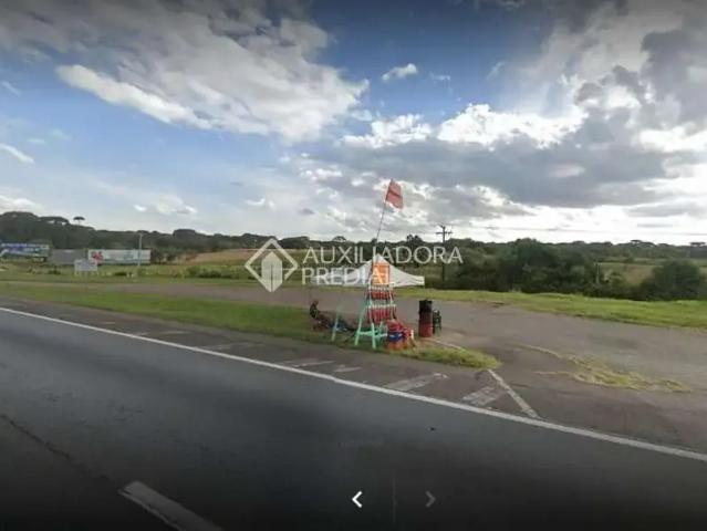 Terreno / Lote para Venda em São José dos Pinhais/PR Campina
