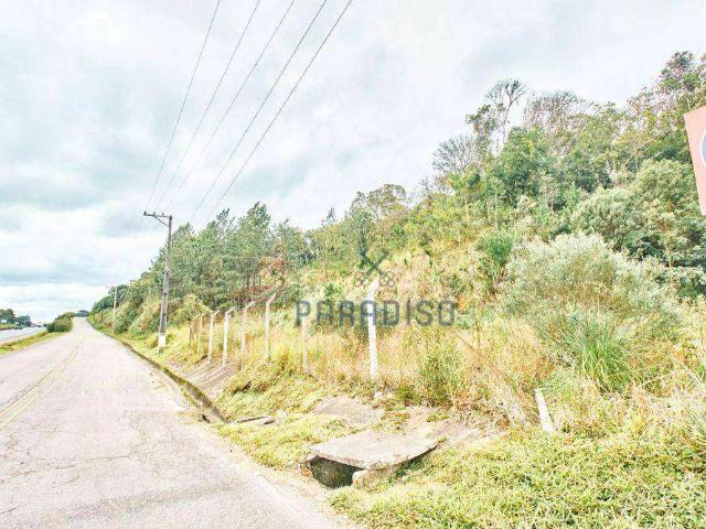 Terreno / Lote para Venda em São José dos Pinhais/PR Campina