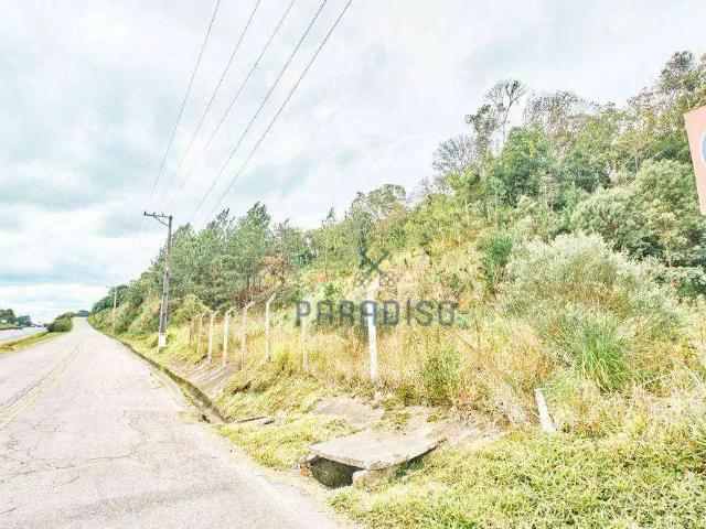 Terreno / Lote para Venda em São José dos Pinhais/PR Campina