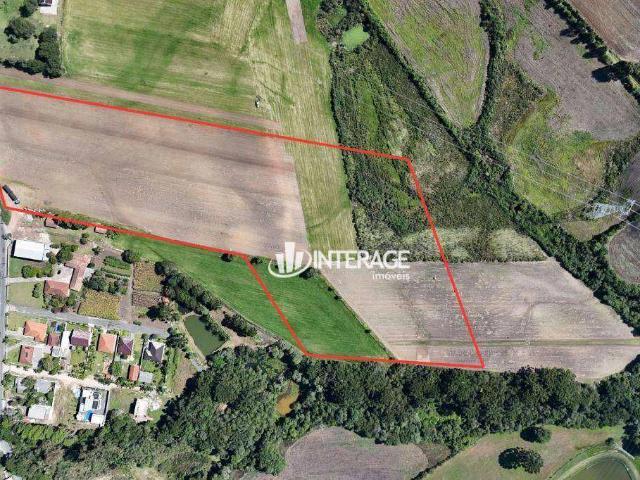 Terreno / Lote para Venda em São José dos Pinhais/PR Campina do Taquaral
