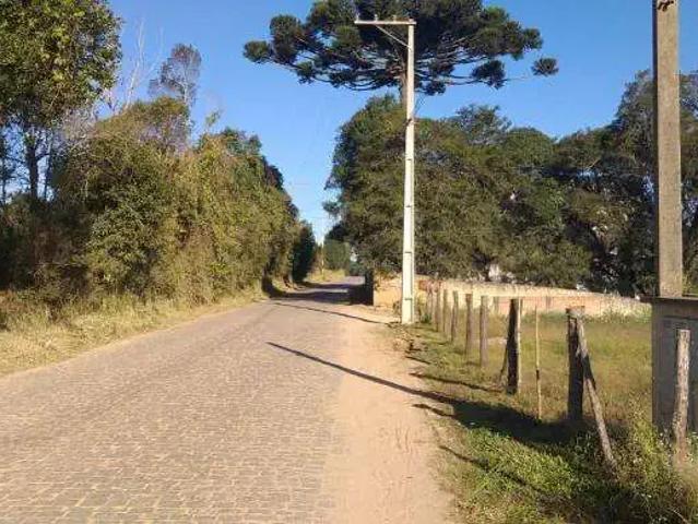 Terreno / Lote para Venda em São José dos Pinhais/PR Campina do Taquaral