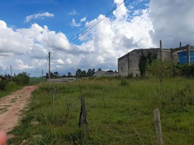 Terreno / Lote para Venda em São José dos Pinhais/PR Campina do Taquaral