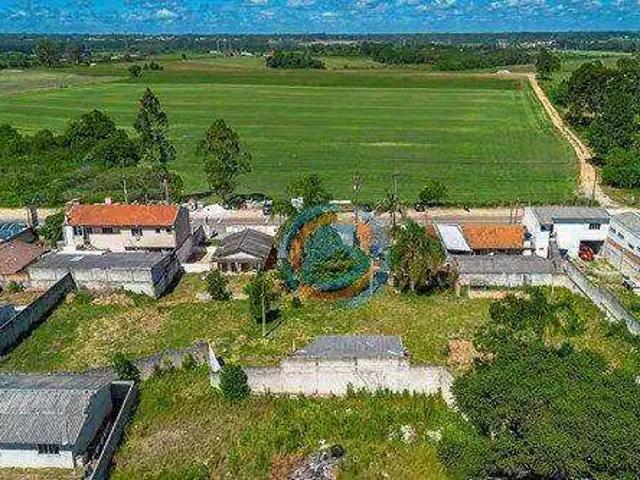 Terreno / Lote para Venda em São José dos Pinhais/PR Campo Largo da Roseira