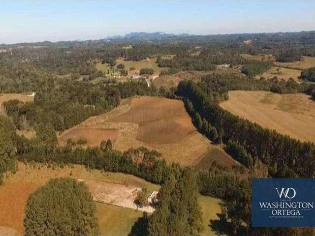 Terreno / Lote para Venda em São José dos Pinhais/PR Campo Largo da Roseira