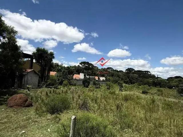 Terreno / Lote para Venda em São José dos Pinhais/PR Campo Largo da Roseira 1 Quartos