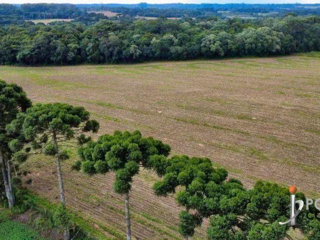 Terreno / Lote para Venda em São José dos Pinhais/PR Campo Largo da Roseira