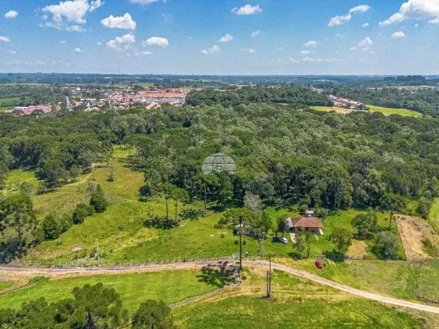 Terreno / Lote para Venda em São José dos Pinhais/PR Campo Largo da Roseira