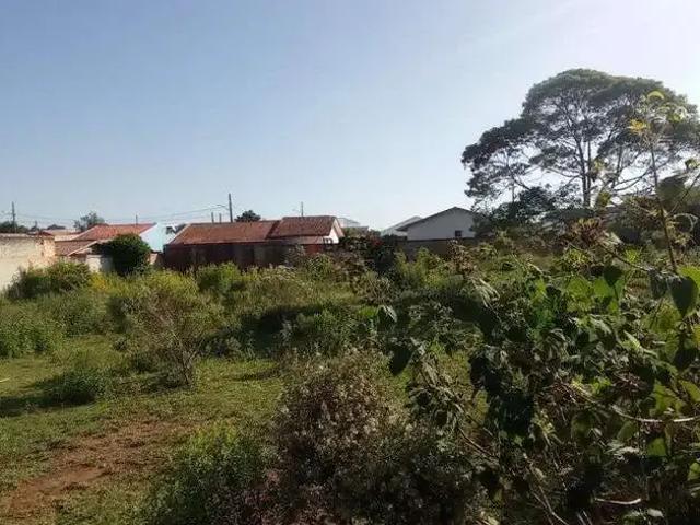 Terreno / Lote para Venda em São José dos Pinhais/PR Campo Largo da Roseira