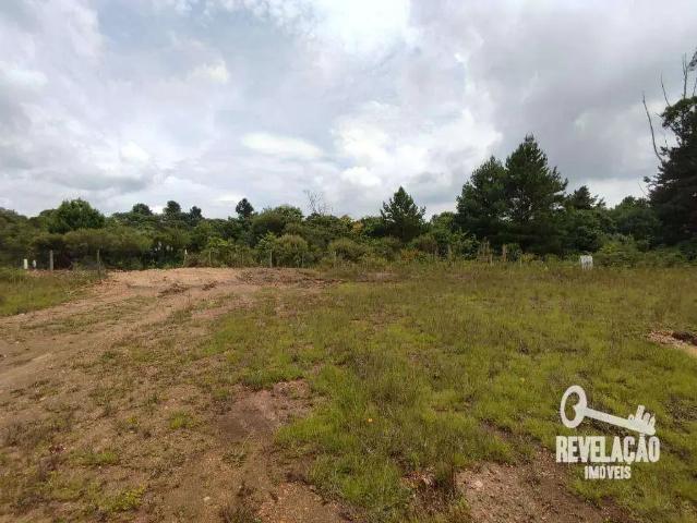 Terreno / Lote para Venda em São José dos Pinhais/PR Campo Largo da Roseira
