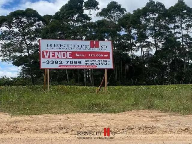 Terreno / Lote para Venda em São José dos Pinhais/PR Campo Largo da Roseira