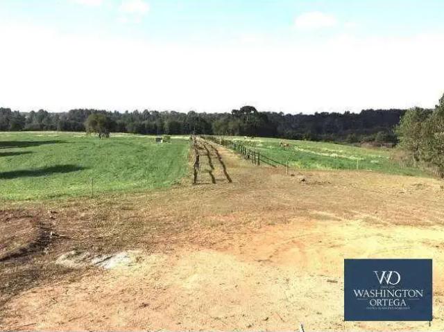 Terreno / Lote para Venda em São José dos Pinhais/PR Campo Largo da Roseira