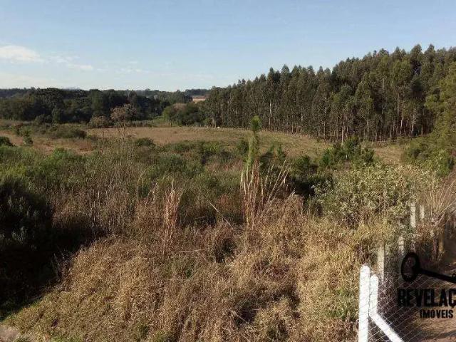 Terreno / Lote para Venda em São José dos Pinhais/PR Campo Largo da Roseira
