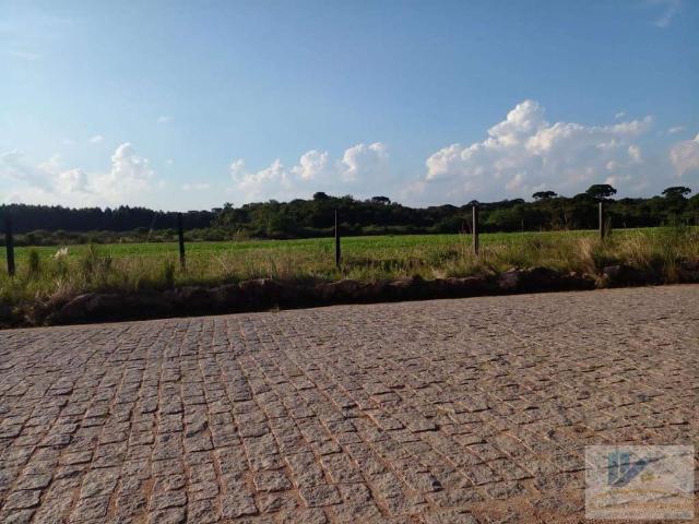 Terreno / Lote para Venda em São José dos Pinhais/PR Campo Largo da Roseira
