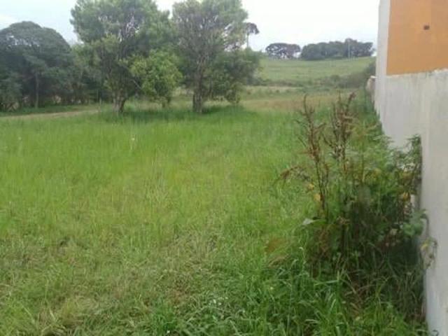 Terreno / Lote para Venda em São José dos Pinhais/PR Campo Largo da Roseira