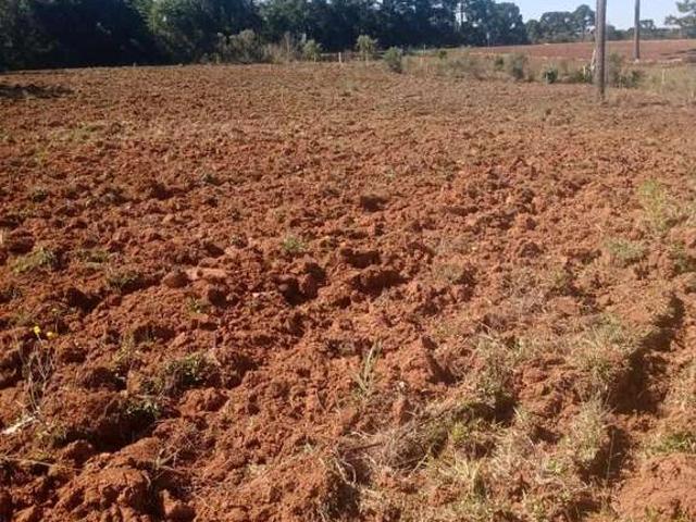 Terreno / Lote para Venda em São José dos Pinhais/PR Campo Largo da Roseira