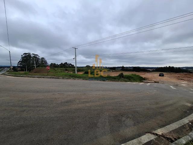 Terreno / Lote para Venda em São José dos Pinhais/PR Campo Largo da Roseira