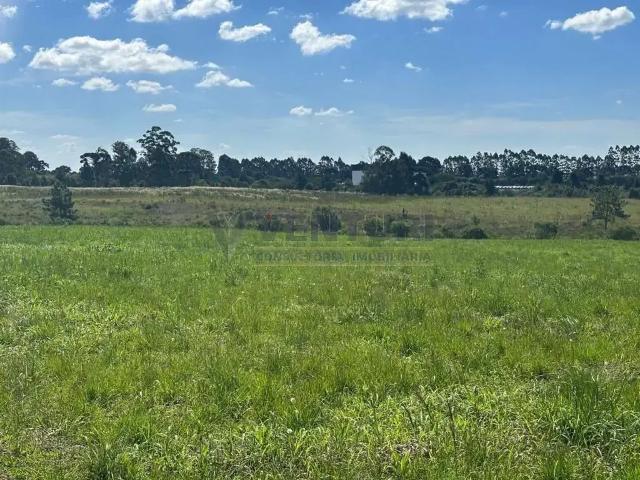 Terreno / Lote para Venda em São José dos Pinhais/PR Campo Largo da Roseira