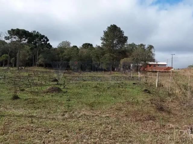 Terreno / Lote para Venda em São José dos Pinhais/PR Campo Largo da Roseira