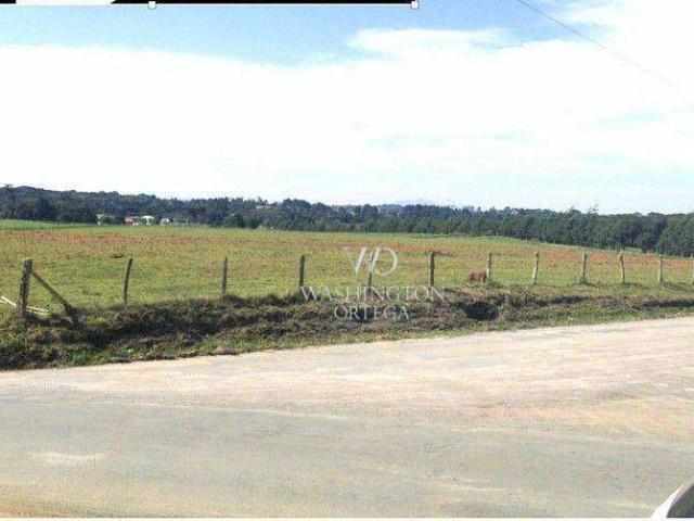 Terreno / Lote para Venda em São José dos Pinhais/PR Campo Largo da Roseira