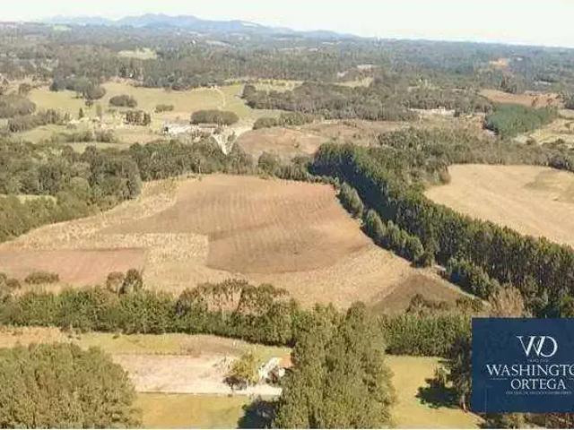 Terreno / Lote para Venda em São José dos Pinhais/PR Campo Largo da Roseira