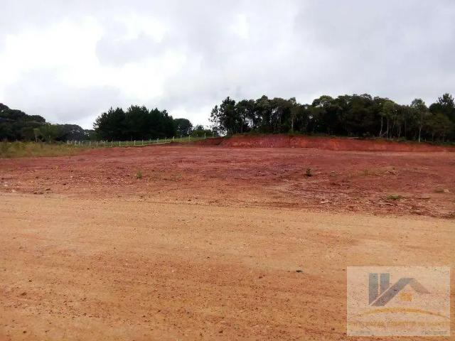 Terreno / Lote para Venda em São José dos Pinhais/PR Campo Largo da Roseira