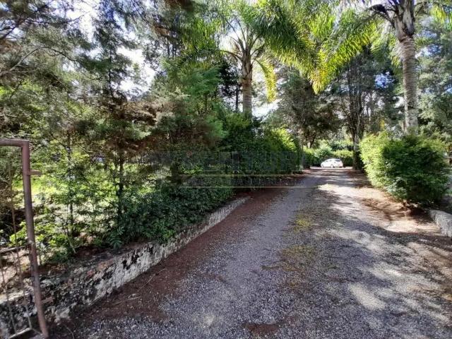 Terreno / Lote para Venda em São José dos Pinhais/PR Campo Largo da Roseira