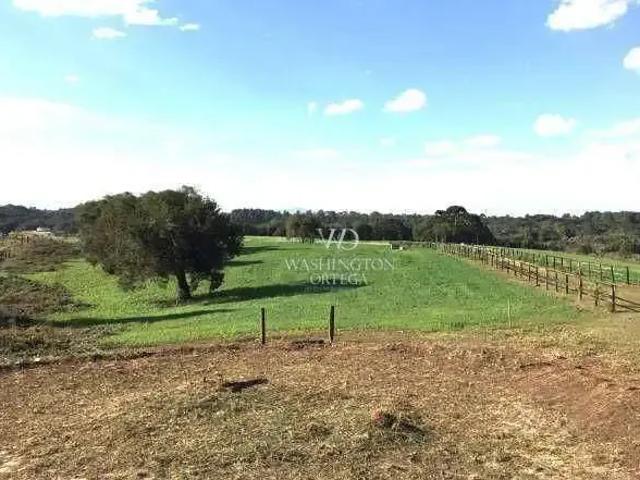Terreno / Lote para Venda em São José dos Pinhais/PR Campo Largo da Roseira