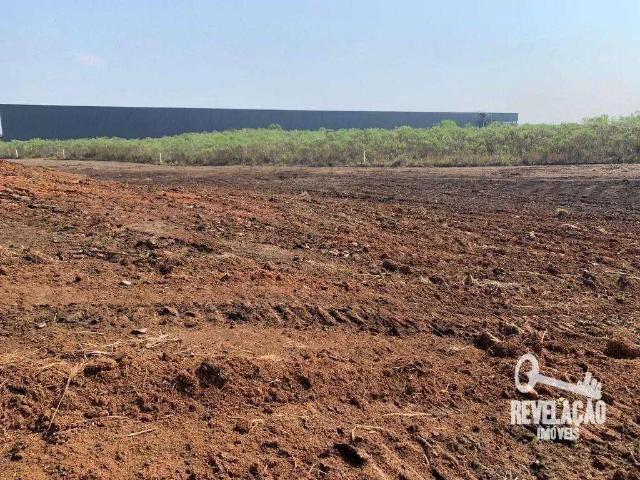 Terreno / Lote para Venda em São José dos Pinhais/PR Campo Largo da Roseira