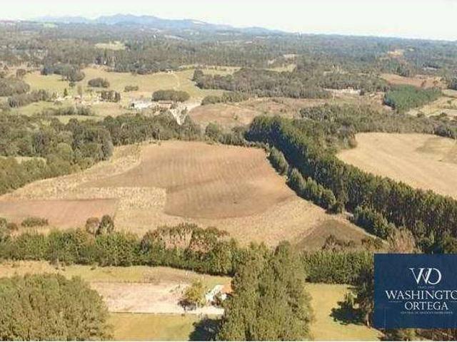 Terreno / Lote para Venda em São José dos Pinhais/PR Campo Largo da Roseira