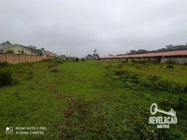 Terreno / Lote para Venda em São José dos Pinhais/PR Campo Largo da Roseira