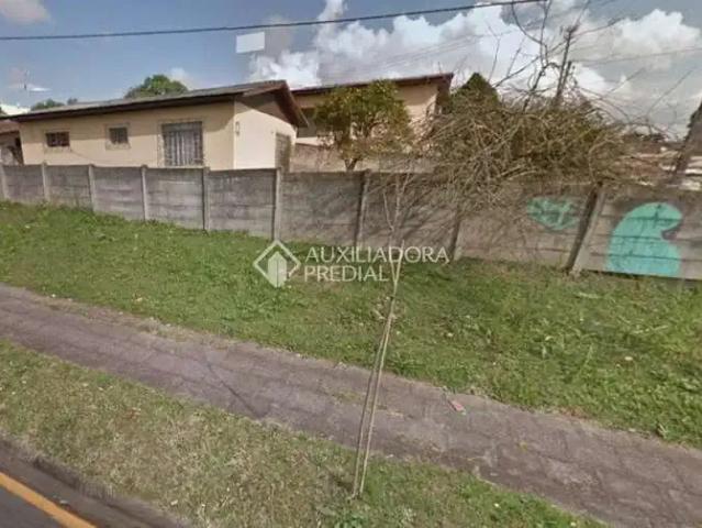 Terreno / Lote para Venda em São José dos Pinhais/PR Centro