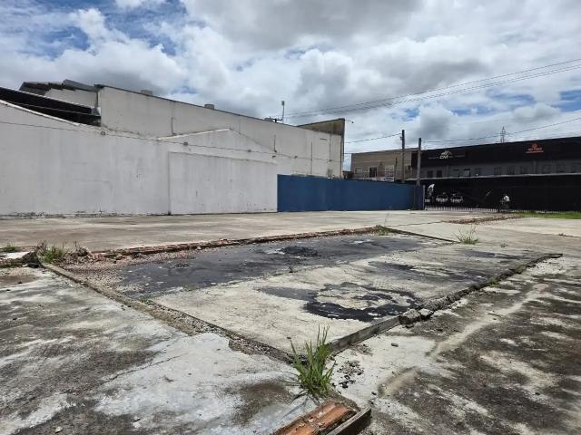 Terreno / Lote para Venda em São José dos Pinhais/PR Centro