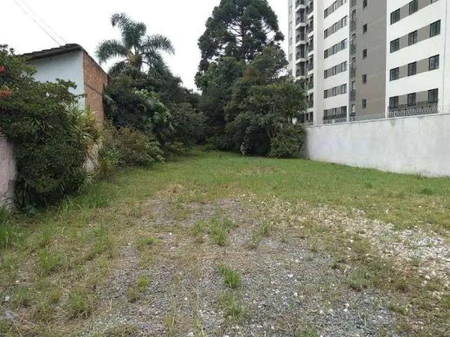Terreno / Lote para Venda em São José dos Pinhais/PR Centro