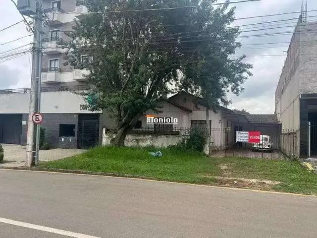 Terreno / Lote para Venda em São José dos Pinhais/PR Centro