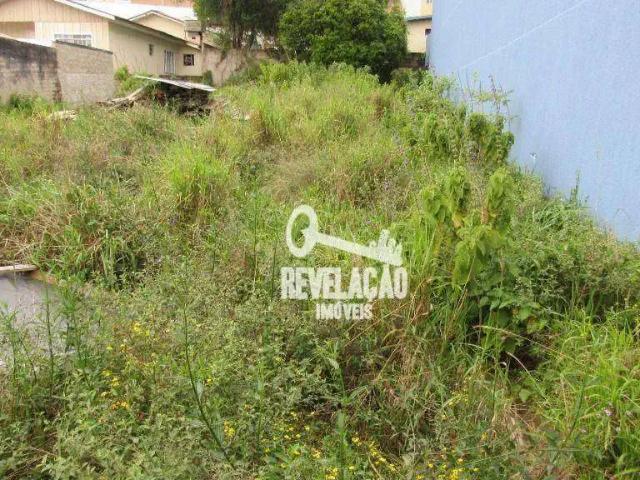 Terreno / Lote para Venda em São José dos Pinhais/PR Centro