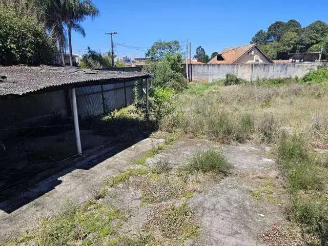 Terreno / Lote para Venda em São José dos Pinhais/PR Centro