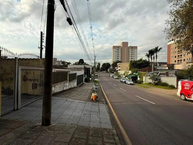 Terreno / Lote para Venda em São José dos Pinhais/PR Centro