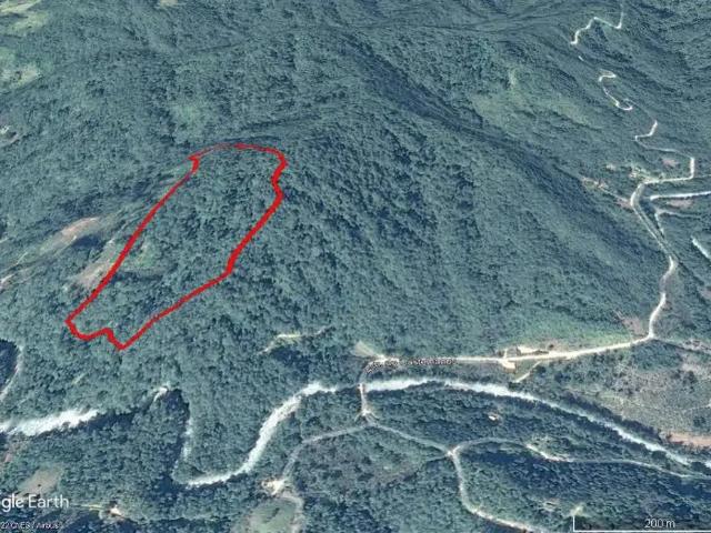 Terreno / Lote para Venda em São José dos Pinhais/PR Colônia Castelhanos