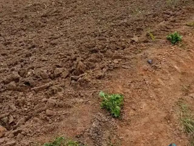 Terreno / Lote para Venda em São José dos Pinhais/PR Colônia Malhada