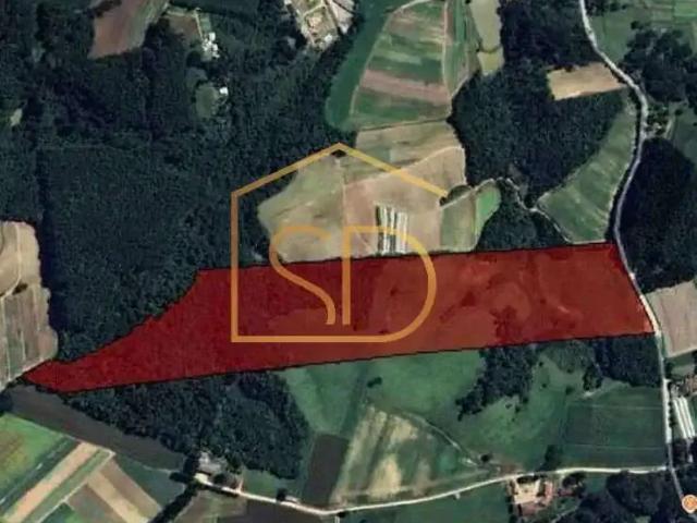 Terreno / Lote para Venda em São José dos Pinhais/PR Colônia Marcelino