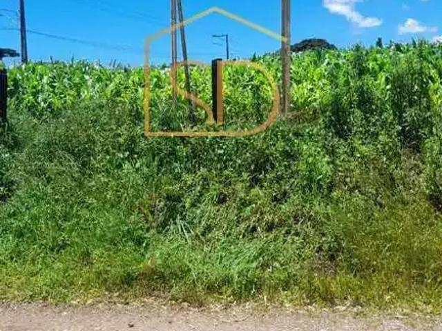 Terreno / Lote para Venda em São José dos Pinhais/PR Colônia Mergulhão