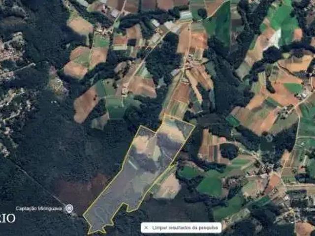 Terreno / Lote para Venda em São José dos Pinhais/PR Colônia Murici