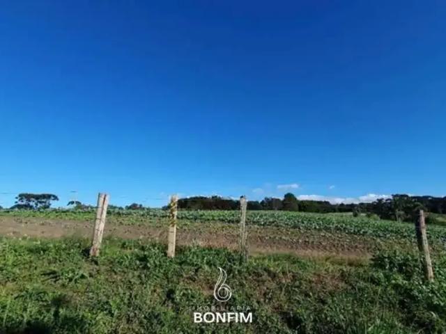 Terreno / Lote para Venda em São José dos Pinhais/PR Colônia Murici