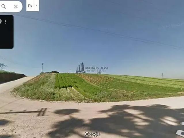 Terreno / Lote para Venda em São José dos Pinhais/PR Colônia Murici