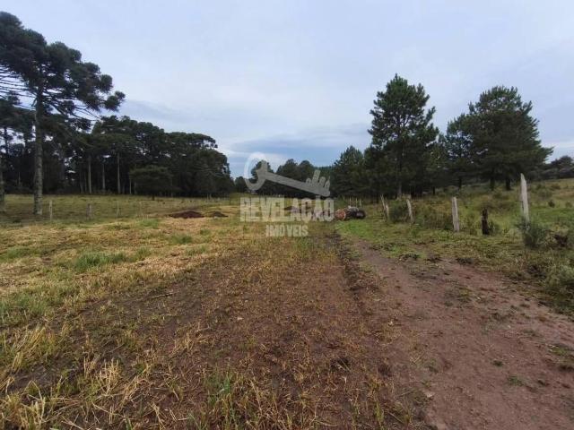Terreno / Lote para Venda em São José dos Pinhais/PR Colônia Murici
