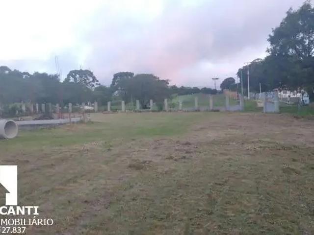 Terreno / Lote para Venda em São José dos Pinhais/PR Colônia Murici