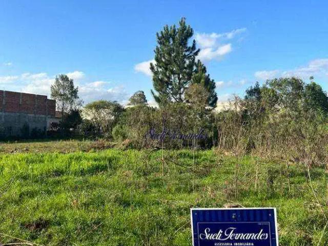 Terreno / Lote para Venda em São José dos Pinhais/PR Colônia Murici